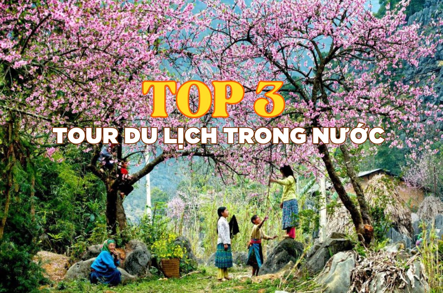tour du lịch trong nước Soctrip